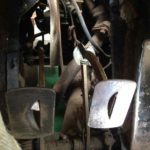 Cforcar Facel Vega Restoration 1 072